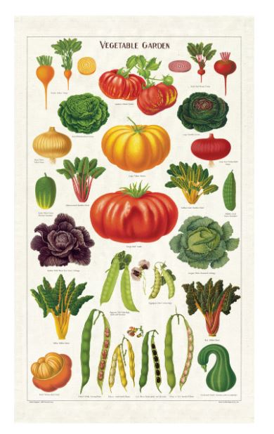 Cotton – Tea Towels Cavalli