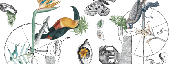 Tea towels - Southern Italy - Birds
